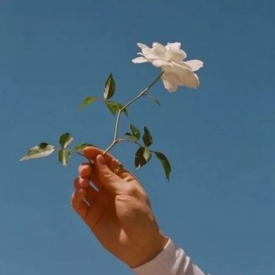 花千骨h5小游戏下载
