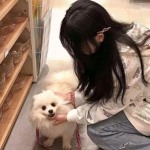 铁血武林私服下载